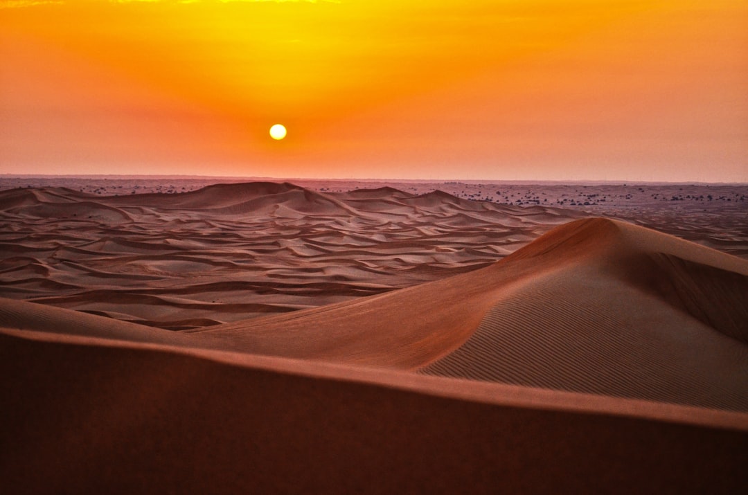 Desert landscape with sparse vegetation
