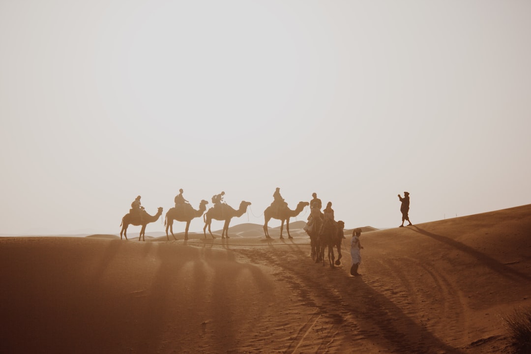 Caravan route across open desert
